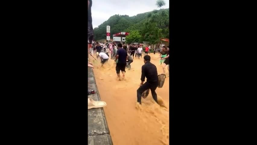 Video - Clip: Người dân nô nức bắt cá trên đường sau trận mưa lớn