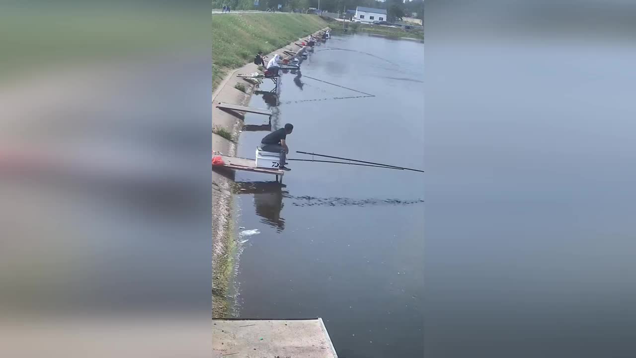 Video - Clip: Đang ngồi câu, cần thủ bị con cá nặng 20kg kéo xuống nước
