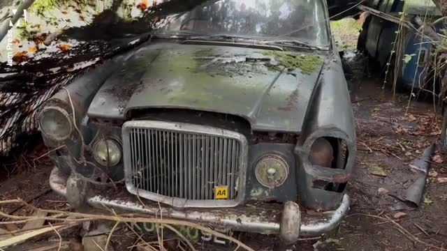 Đời sống - Clip: Người phụ nữ tìm thấy 50 chiếc xe ô tô cổ giấu giữa rừng