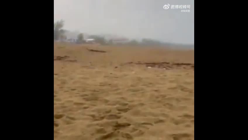 Video - Clip: 3 đứa trẻ bất ngờ bị sét đánh trúng khi đứng trên bãi biển
