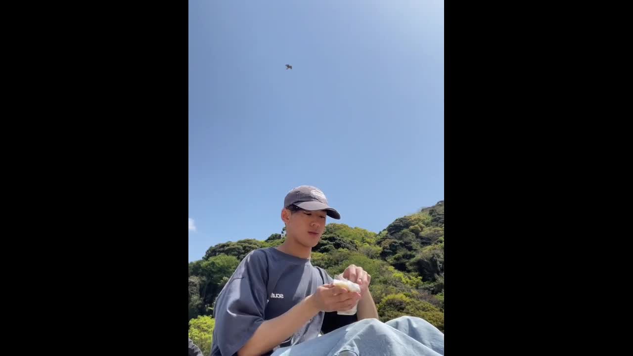 Video - Clip: Chim ưng táo bạo cướp bữa trưa của người đàn ông trong nháy mắt