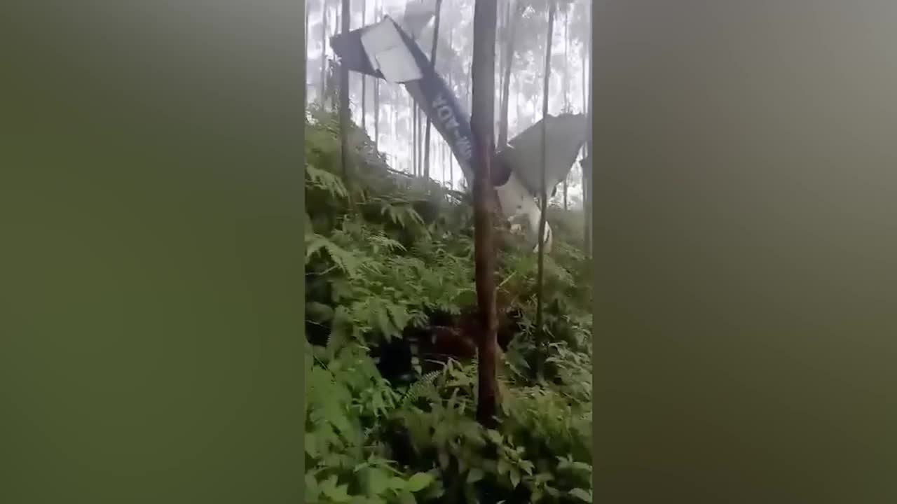 Video - Clip: Máy bay lao cắm đầu xuống khu rừng, 2 người sống sót khó tin