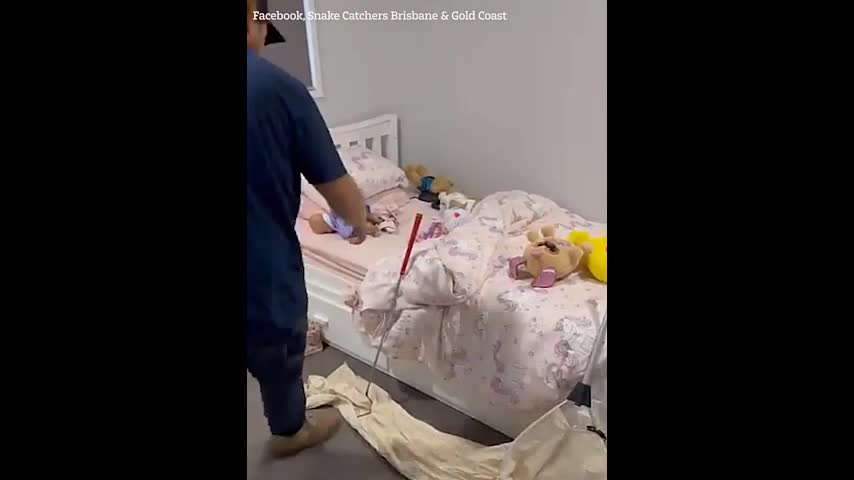 Video - Hai vợ chồng sốc nặng khi phát hiện thứ đáng sợ trên giường con