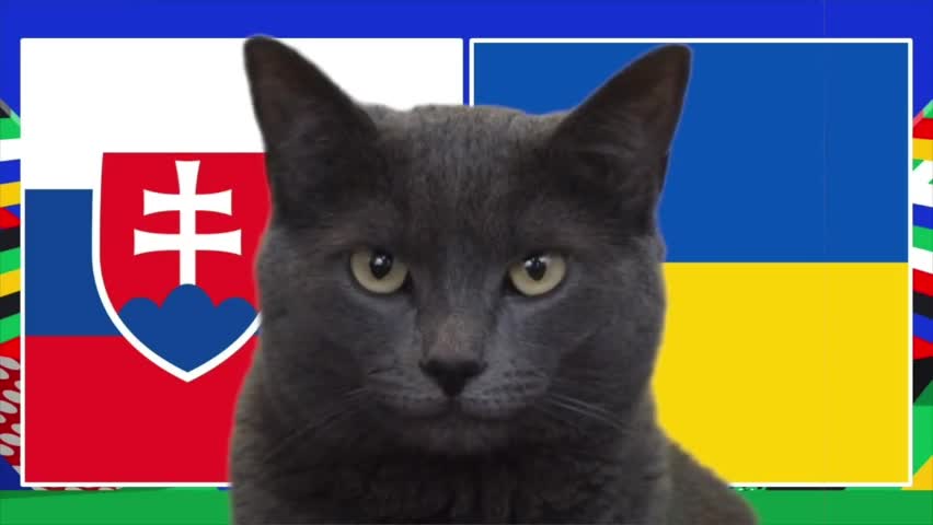 Thể thao - Mèo “tiên tri” chọn đĩa thức ăn dự đoán Slovakia tiếp tục tạo nên bất ngờ trước Ukraine