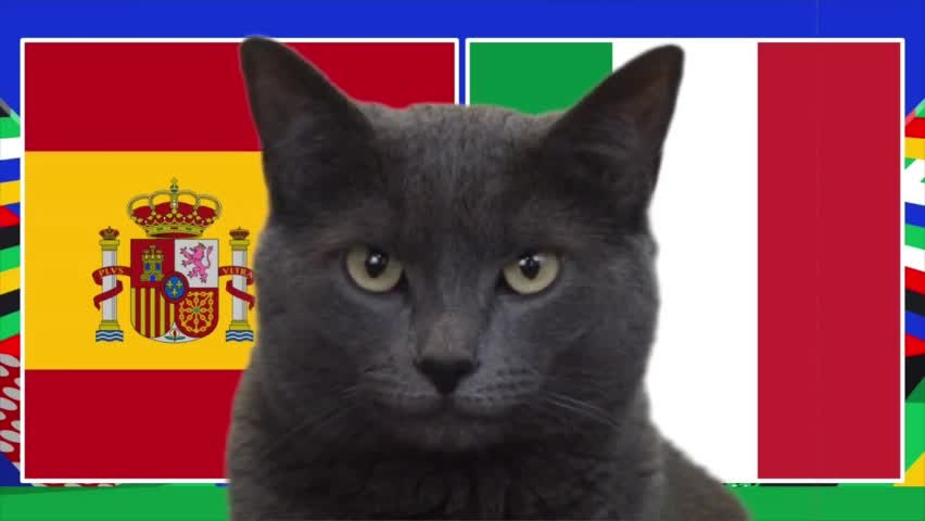 Thể thao - Kết quả trận Tây Ban Nha và Ý được 'mèo tiên tri' dự báo thế nào?