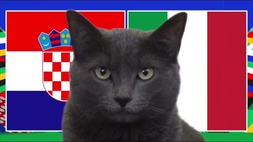 Thể thao - Trận 'tử chiến' Croatia và Italia, mèo 'tiên tri' dự báo ra sao?