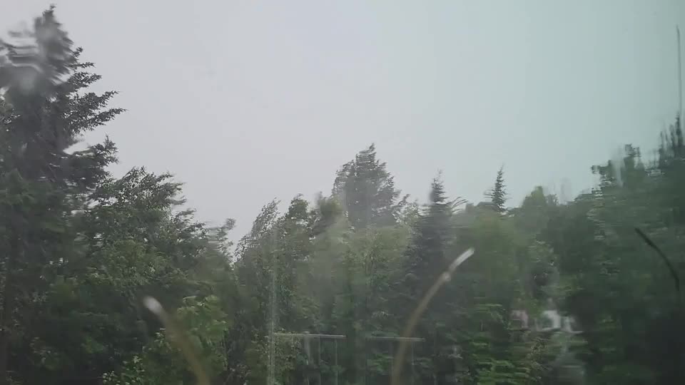 Video - Kinh hoàng khoảnh khắc sét đánh trúng cây khi có giông bão
