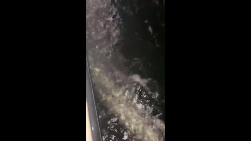 Video - Clip: Nam thanh niên bất ngờ câu được con cá khổng lồ trên biển