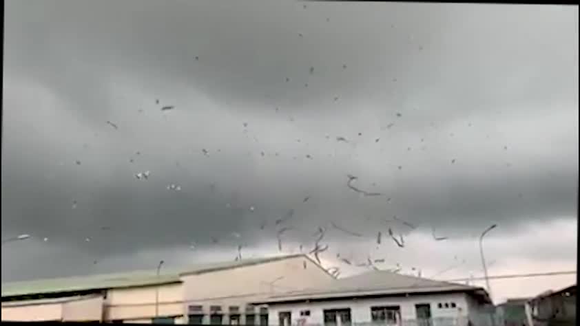 Lốc xoáy cuốn bay mái tôn lên không trung, kéo sập nhà xưởng ở Tiền Giang