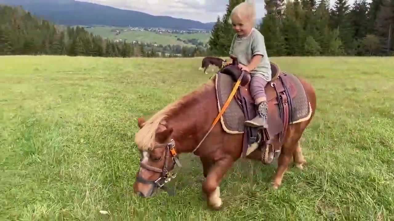 Cô bé hai tuổi trổ tài cưỡi ngựa lão luyện