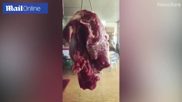 Thịt bò cắt rời vẫn co giật đùng đùng khiến nhiều người hoảng sợ