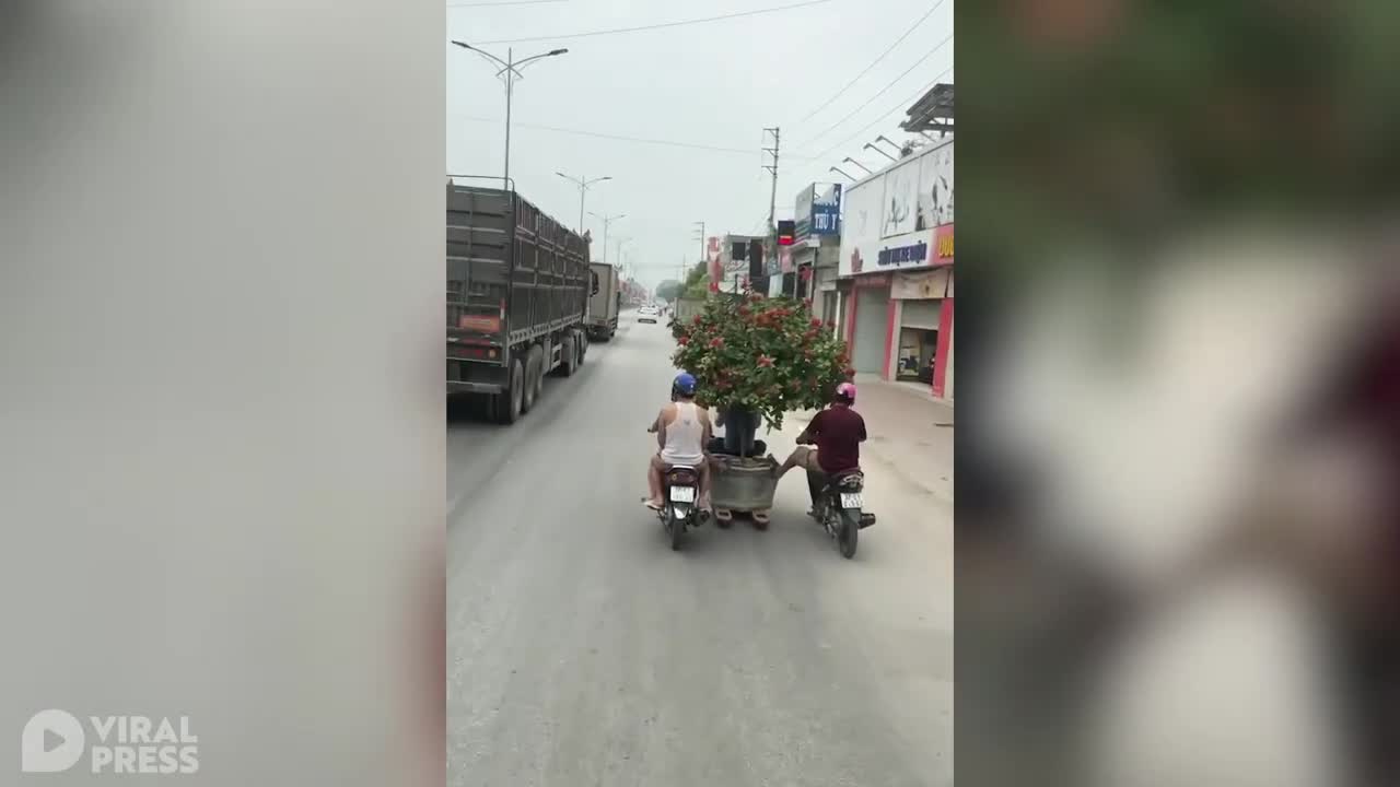Three Guys Ride With Bonsai Plant Pot