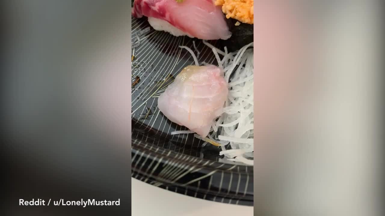 Phát hiện sinh vật ngo ngoe trên miếng sushi