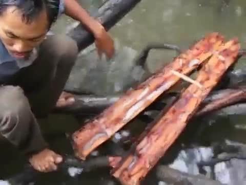 Rợn người với món đặc sản sâu gỗ nhầy nhụa ở Philippines