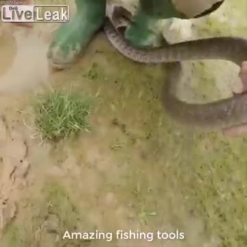 câu cá bằng rắn - người đưa tin