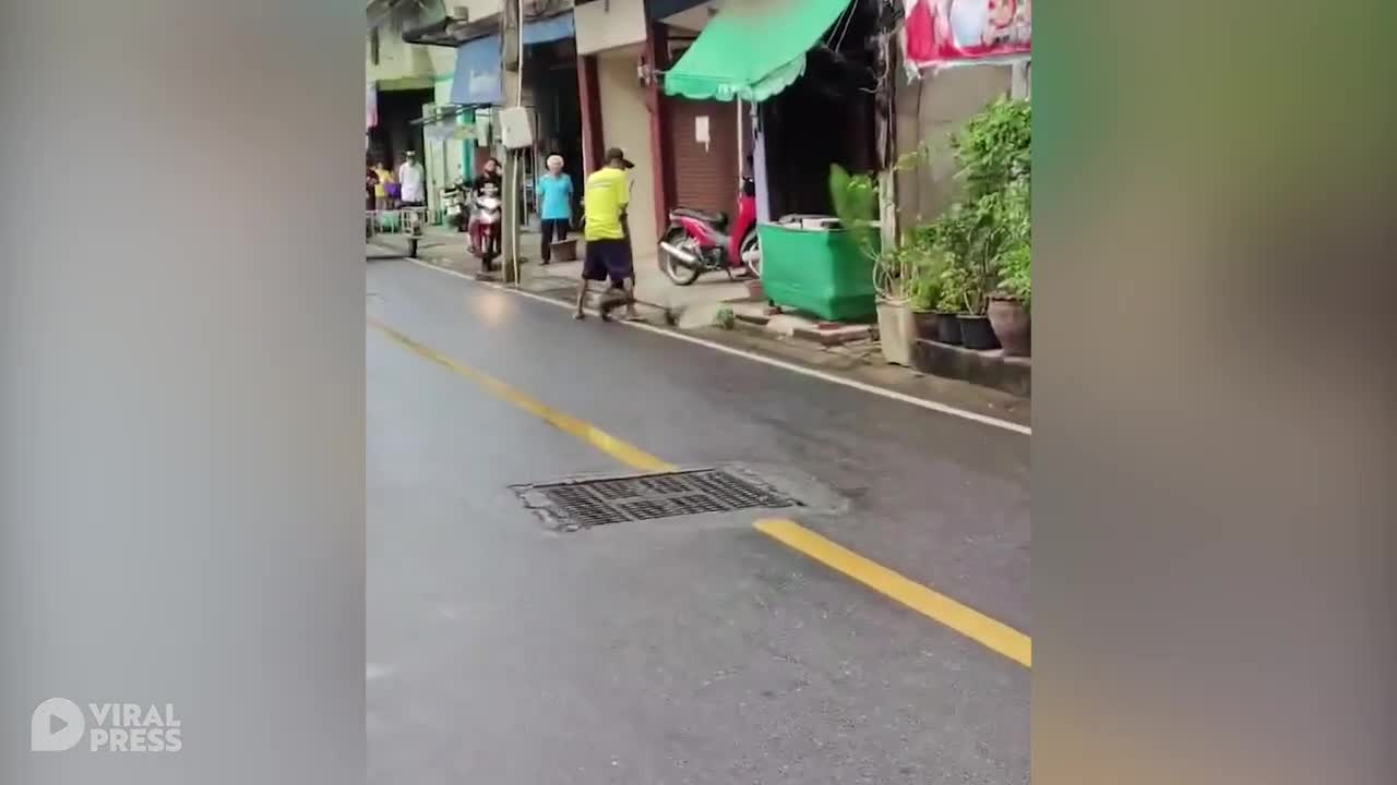 Kỳ đà cắn nát chân người đàn ông ở Thái Lan