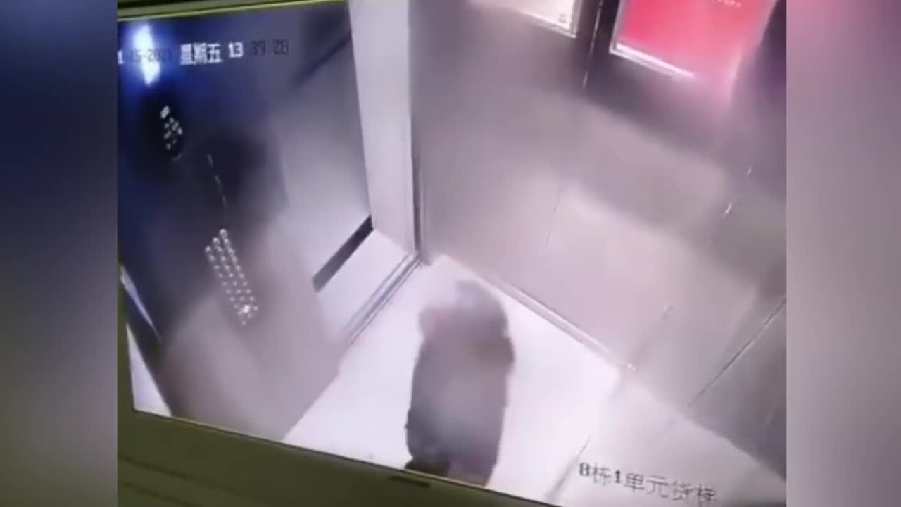 Người phụ nữ có hành động ghê tởm trong thang máy
