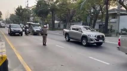 Cảnh sát chặn xe để 2 chú chó sang đường