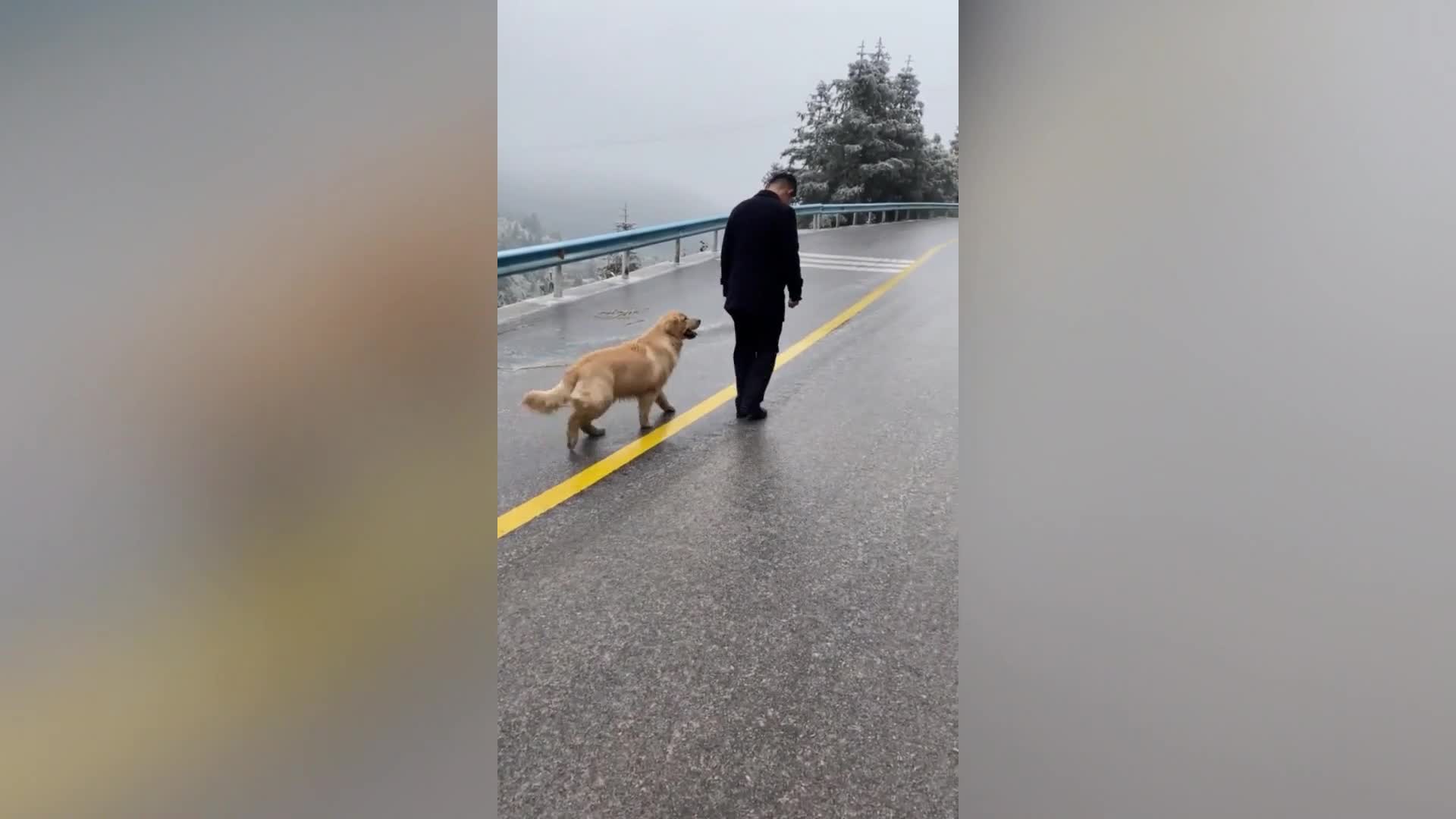 Vì quá lạnh, chó cưng trượt chân lia lịa trên đường đóng băng