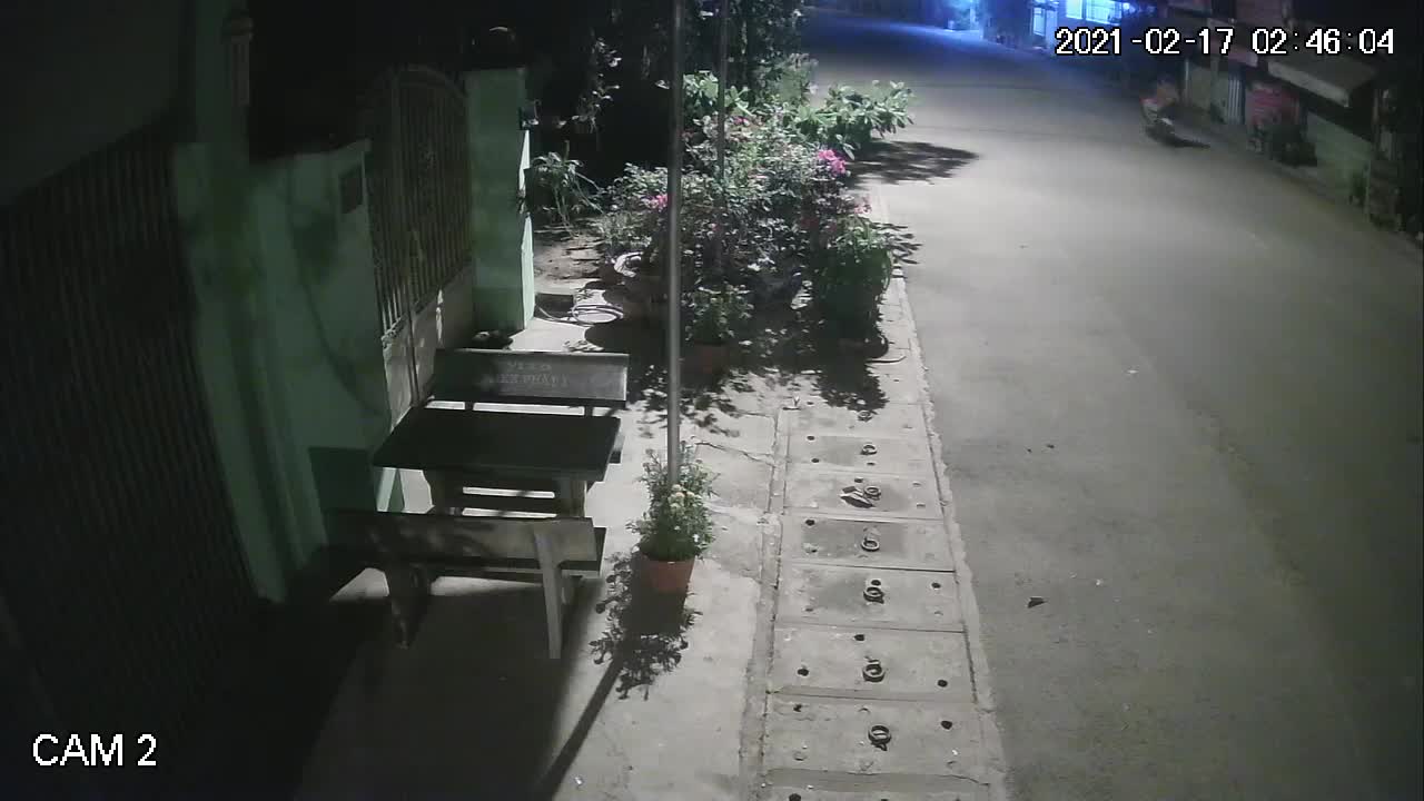 Chích điện trộm chó trong 15 giây ở TP.HCM
