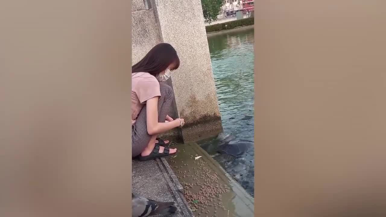 Bất ngờ lao đến vồ cá, kỳ đà khiến thiếu nữ giật bắn mình