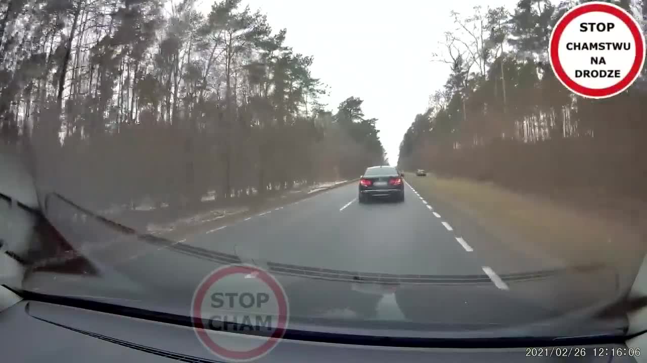 Đàn hươu phi qua đường, rơi xuống ôtô đang chạy