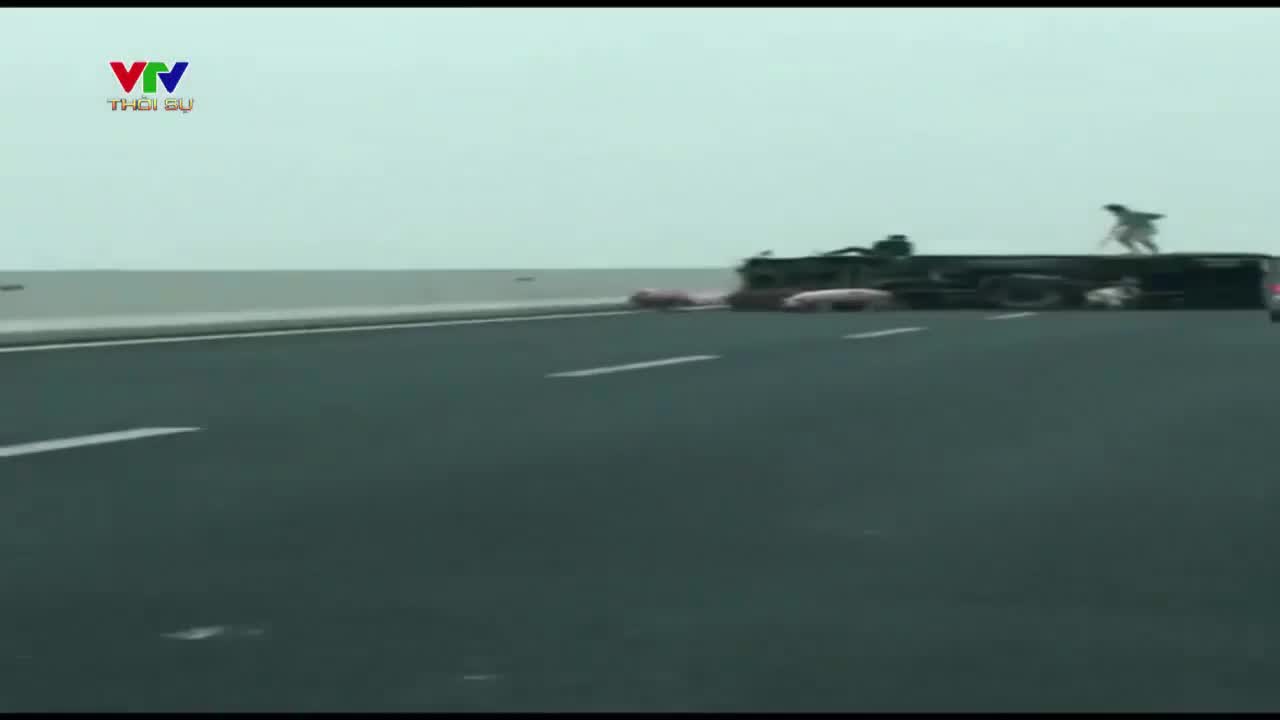 Clip: Lật xe tải trên cao tốc 5B, hàng chục con lợn chạy ra đường 