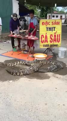 Xẻ thịt bán cá sâu bên đường ở Nghệ An