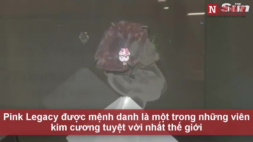 Video: Cận cảnh viên kim cương hồng cực hiếm có giá 50 triệu USD