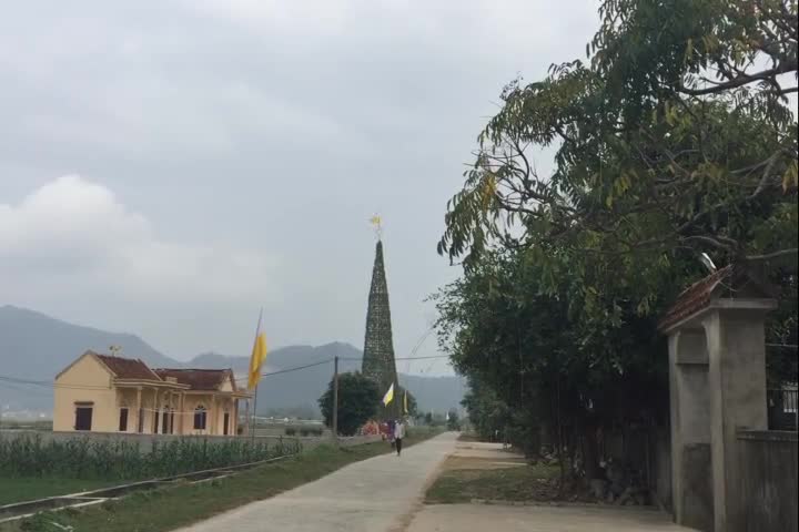 Nghệ An: Độc đáo cây thông hành tăm chào đón Giáng sinh 2018