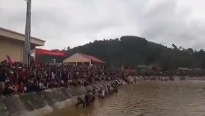 Hàng trăm người dân lao xuống hồ tranh nhau bắt cá cầu may