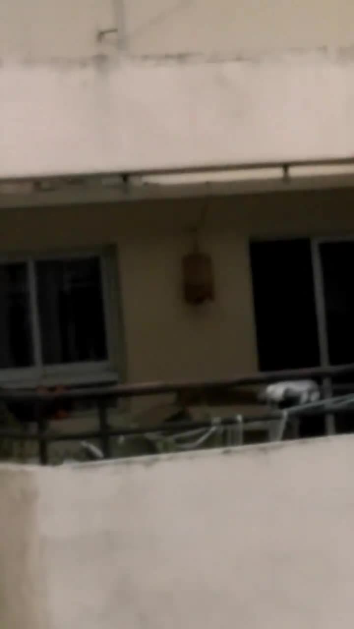 Đứng tim cảnh bé trai leo ra ngoài cửa sổ chung cư tầng 11