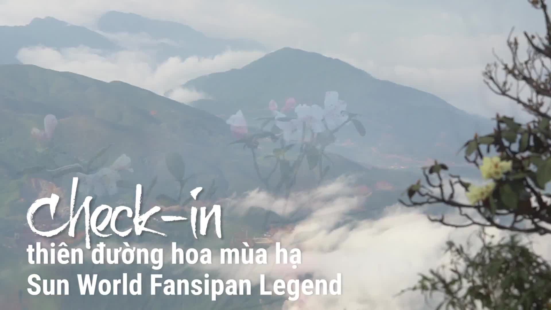 Video: Hẹn hò tại thung lũng hoa dưới chân núi Fansipan