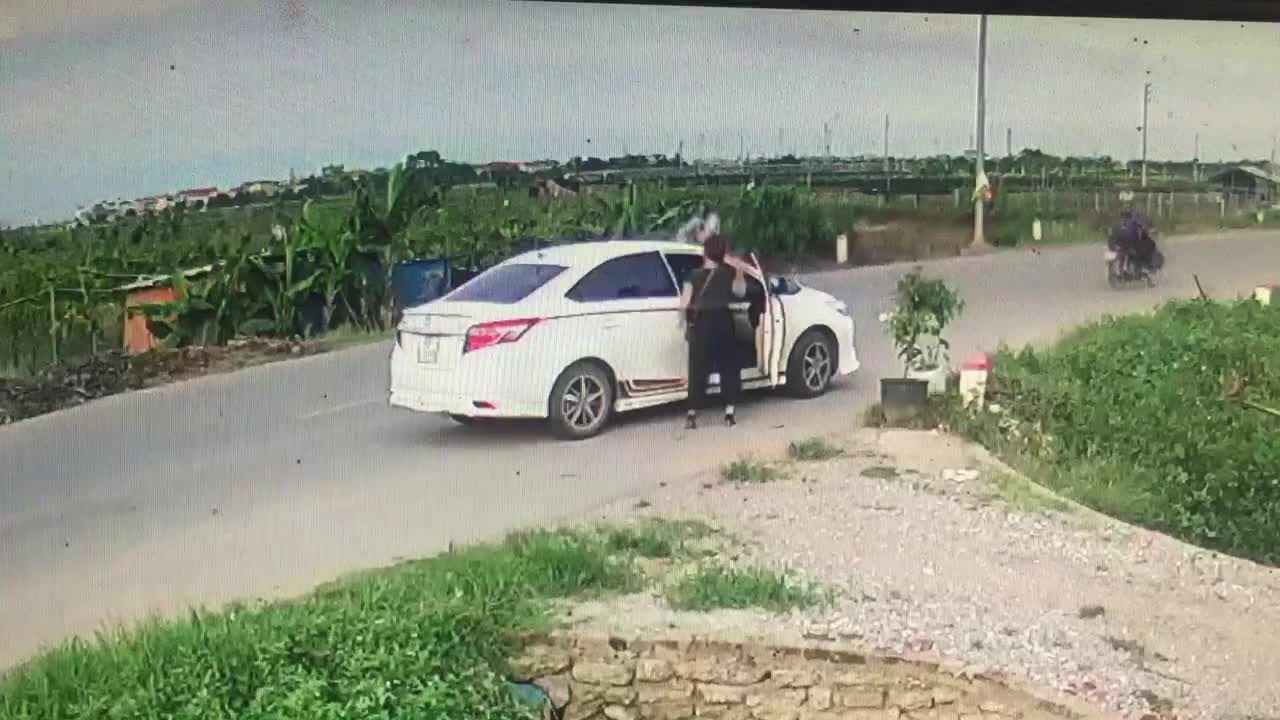 Người phụ nữ đi ô tô thản nhiên trộm chậu hoa để ven đường
