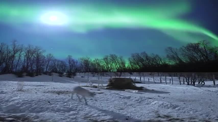 Hiện tượng cực quang lung linh kì ảo thắp sáng cả bầu trời đêm ở Na Uy