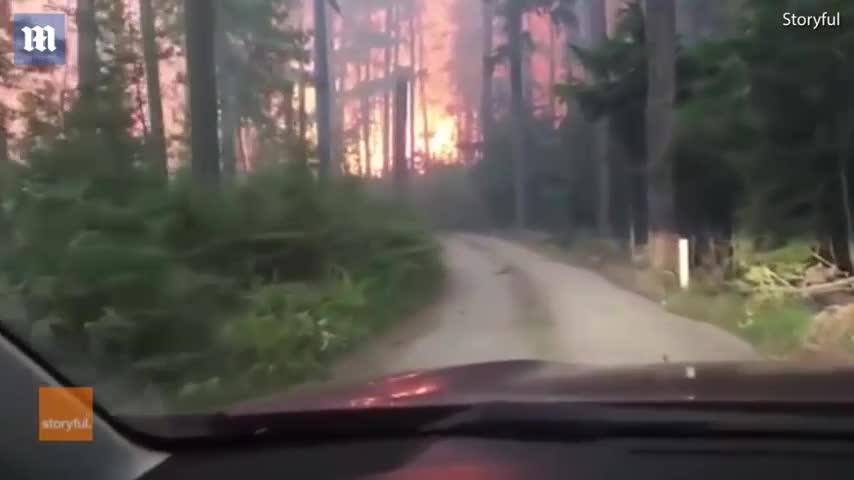 2 bố con băng qua rừng lửa tìm đường về nhà