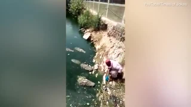 Video: Thót tim xem người đàn ông ngồi giữa bầy 5 con cá sấu đói ăn