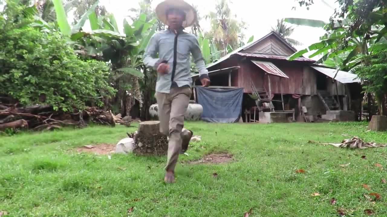 Video: Gian nan màn giải cứu lợn trước sự tấn công của trăn khổng lồ