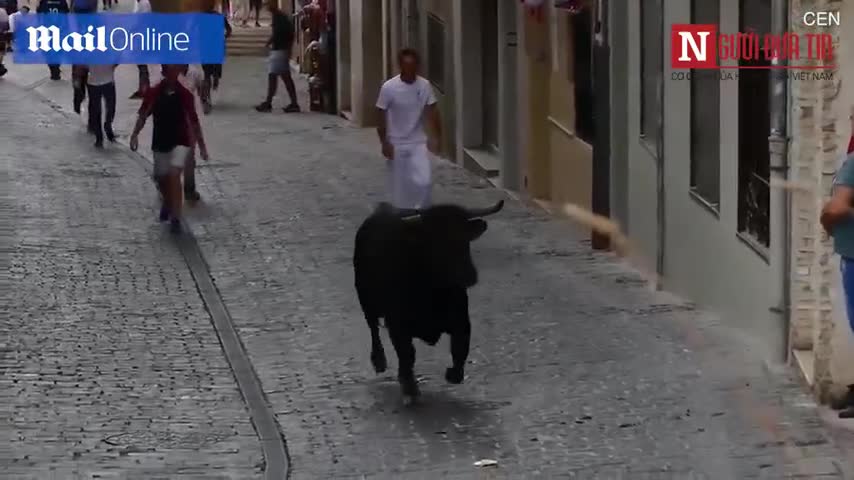 Bò tót điên cuồng tấn công người đứng xem lễ hội truyền thống