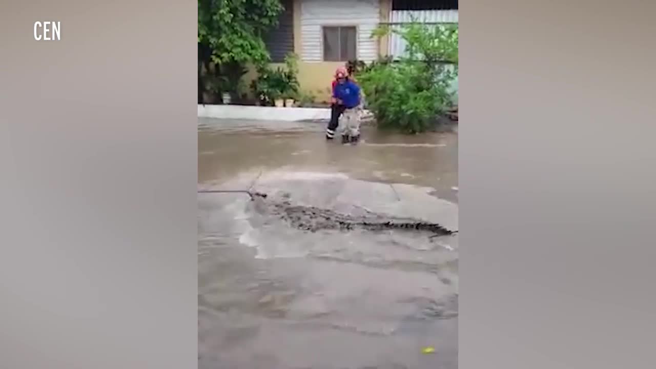Người dân Mexico vây bắt cá sấu bơi lạc vào thành phố