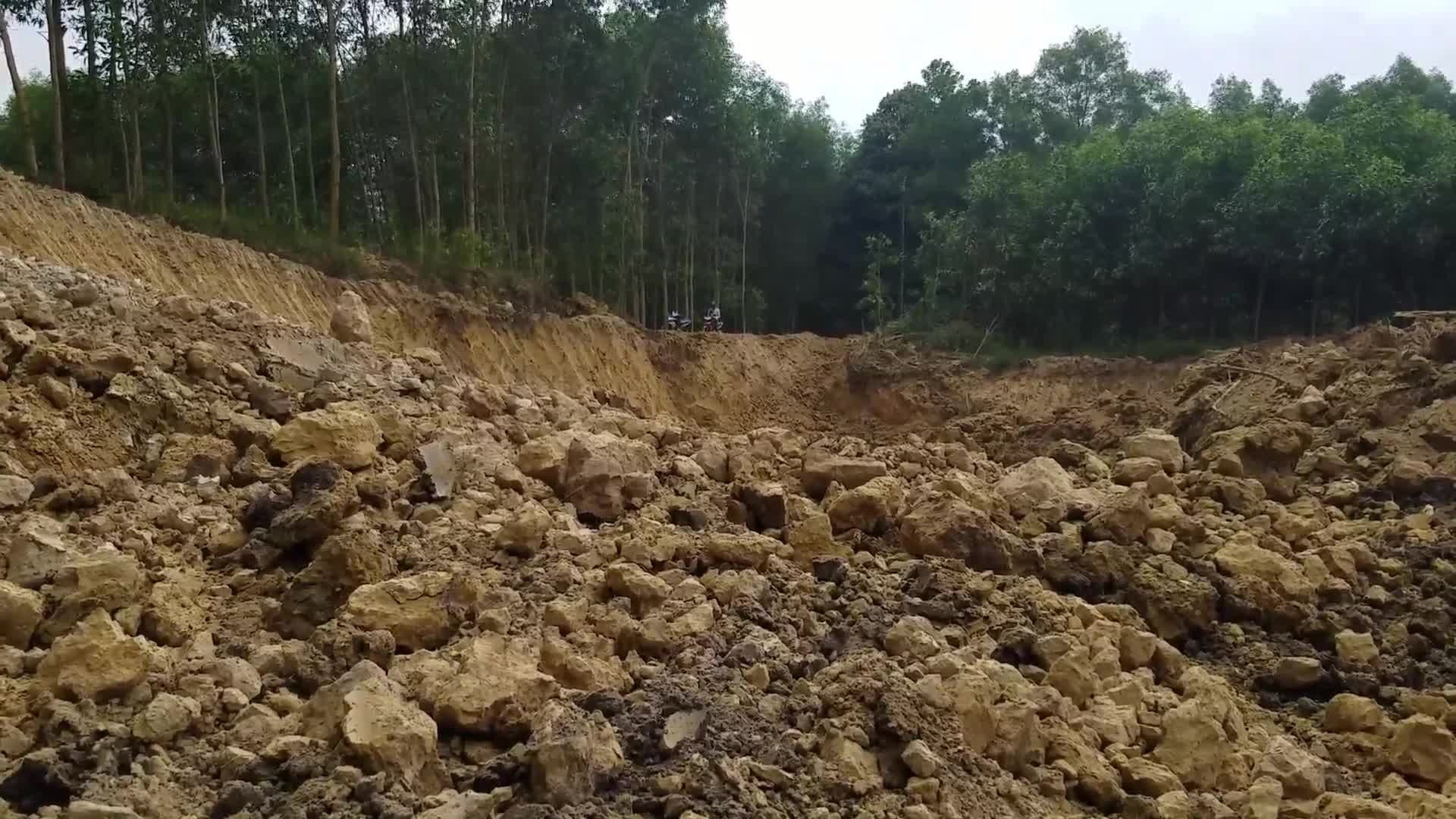 Huế: Phá tan cả khu rừng tràm doanh nghiệp chở đất sét đi bán