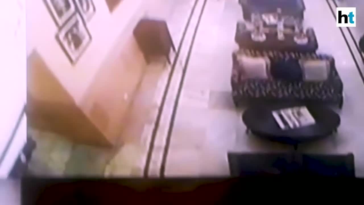 [Video] Xem báo đen lẻn vào khách sạn gầm rú suốt 15 phút