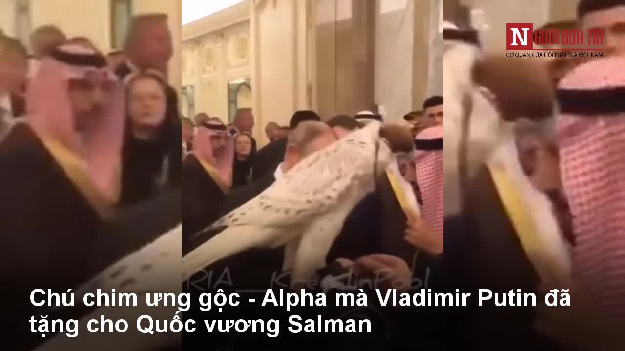 Tổng thống Putin tặng chim ưng gộc cho Quốc vương Saudi Arabia