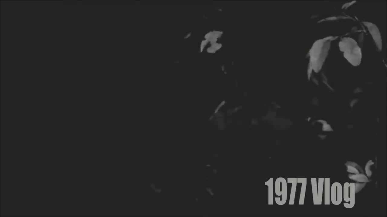 1977 Vlog - Chị Dậu Parody - Kỷ Nguyên Hắc Ám