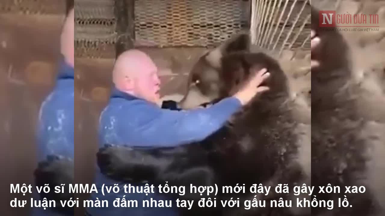Võ sĩ đấm nhau tay đôi với gấu nâu khổng lồ