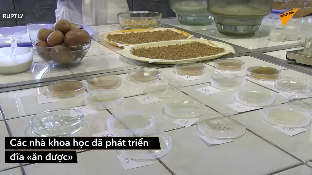 Các nhà khoa học Nga đã tạo ra bát đĩa ăn được