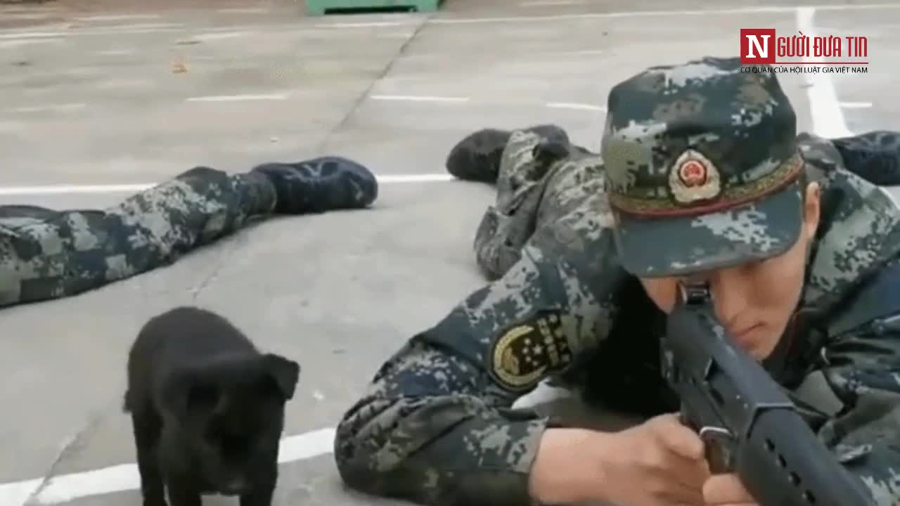 Chó liếm mặt lính bắn tỉa vẫn không run tay