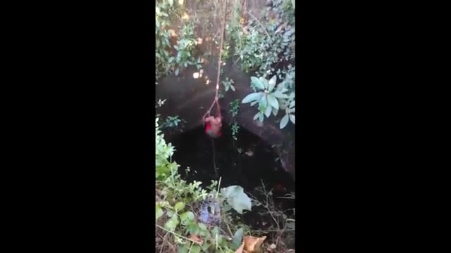 Video: Kịch tính cảnh tay không mạo hiểm trèo xuống giếng sâu 15 m để giải cứu con trăn
