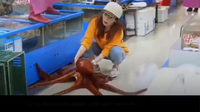 Thiếu nữ xinh đẹp vật lộn sơ chế bạch tuộc khổng lồ trước khi ăn sống nó