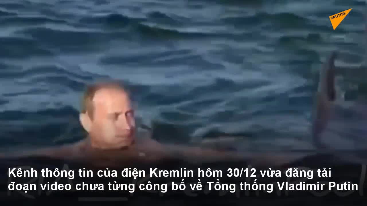 Công bố video ông Putin cưỡi cá heo vượt sóng